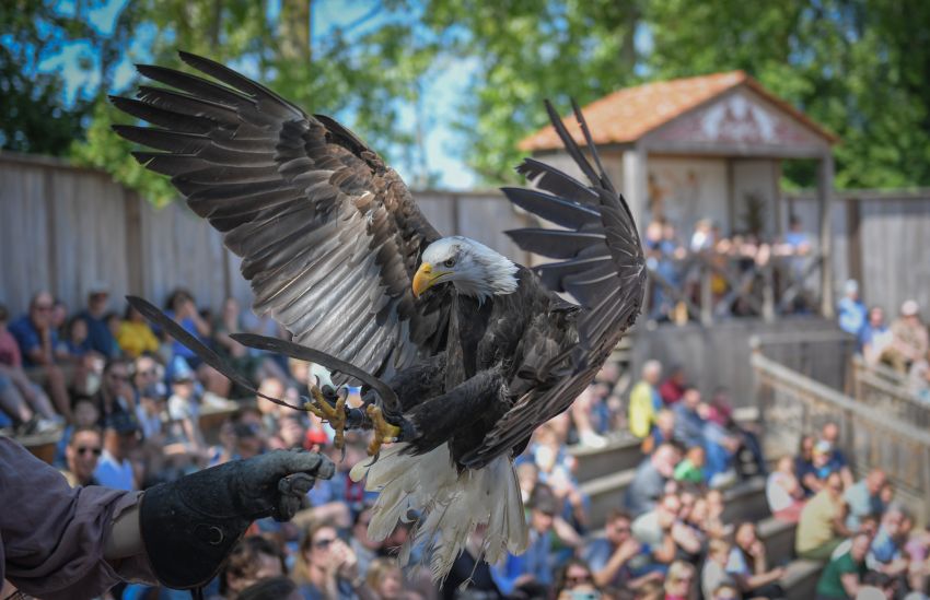 GREEK ARCHEON-7.jpg